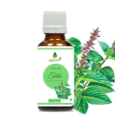Tulsi Essential Oil